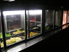 s_A_PICT0492_thumb.png